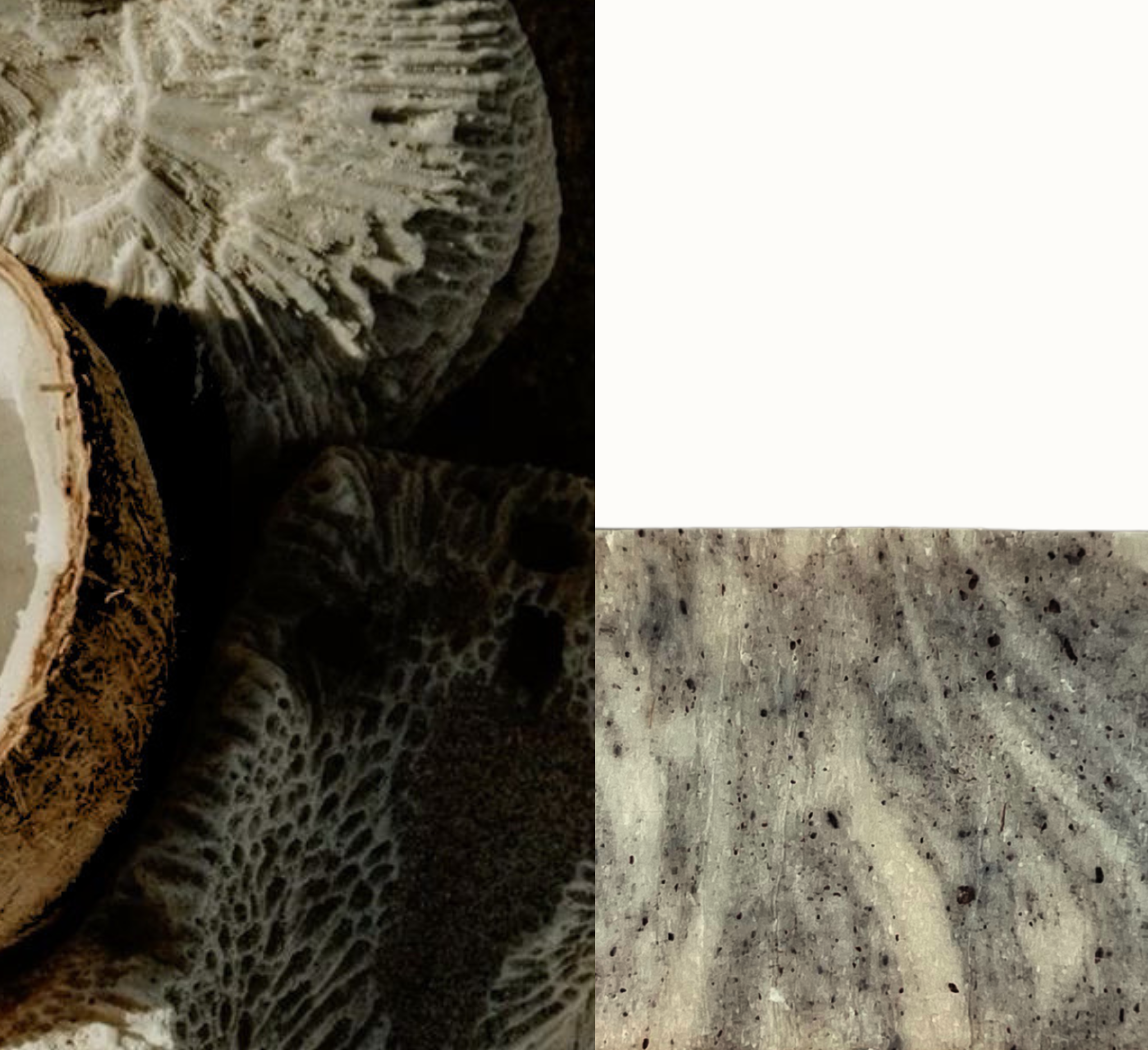 Coconut Soap Bar
