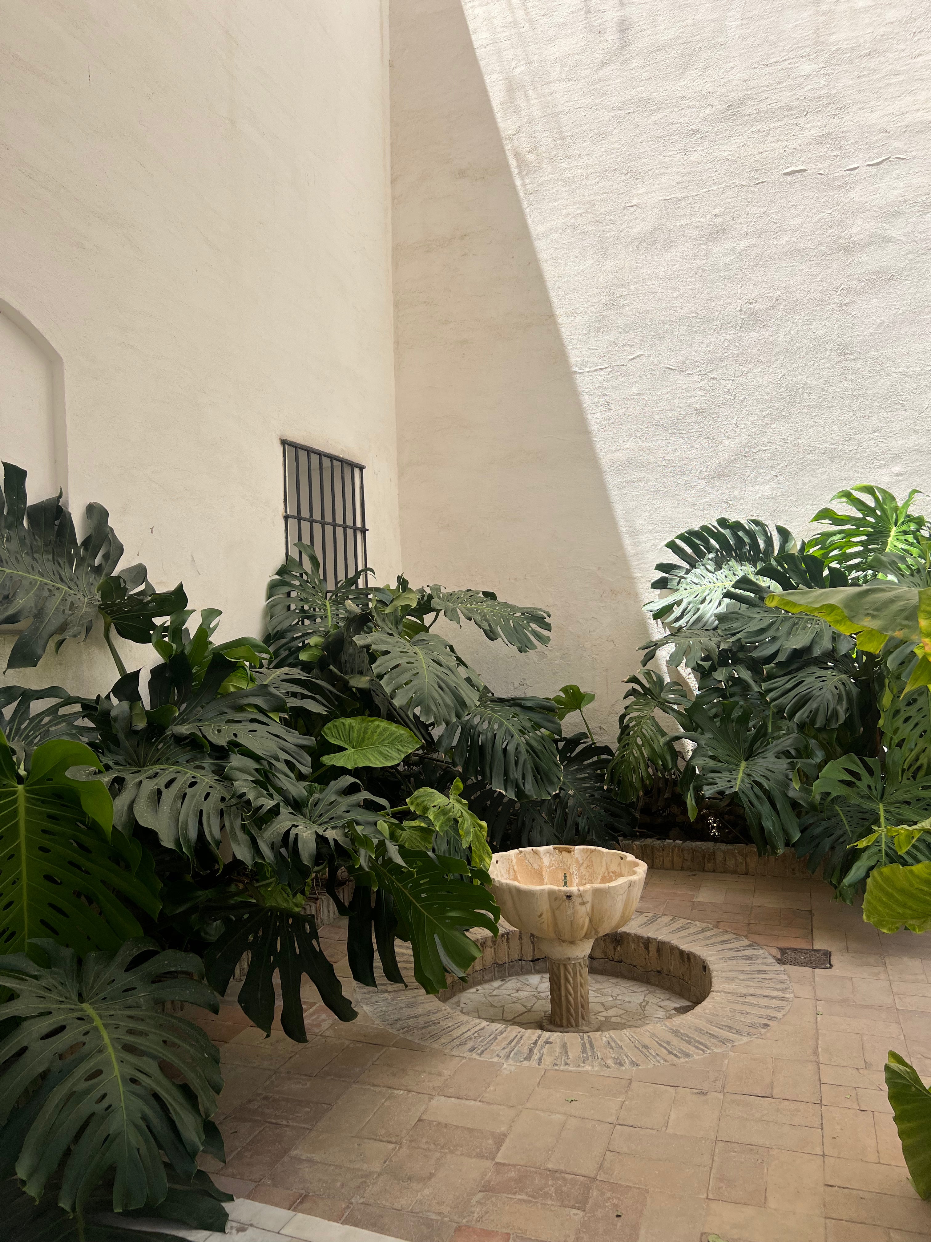 Scented Candle Jardín Verde