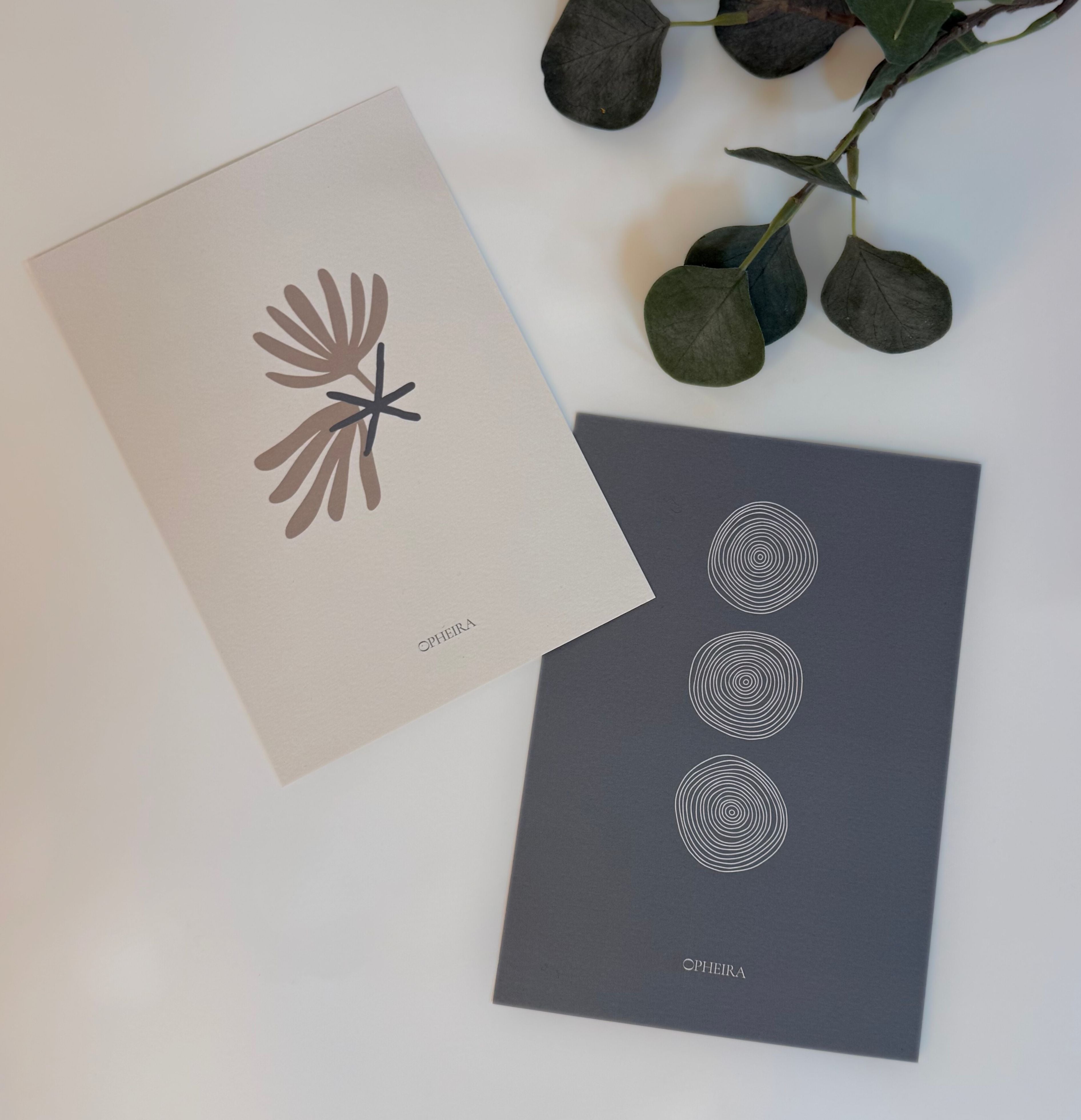 Fine Art Card Set 5x